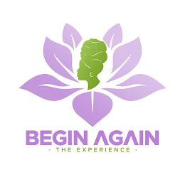 BEGIN AGAIN - THE EXPERIENCE - logo