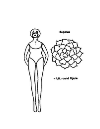 BEGONIA - FULL, ROUND FIGURE logo