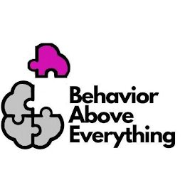 BEHAVIOR ABOVE EVERYTHING logo