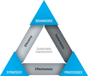 BEHAVIORS EFFICIENCY SUSTAINABLE IMPROVEMENT PERFORMANCE STRATEGY EFFECTIVENESS PROCESSES logo