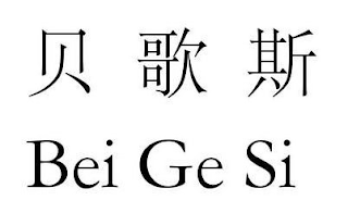 BEI GE SI logo