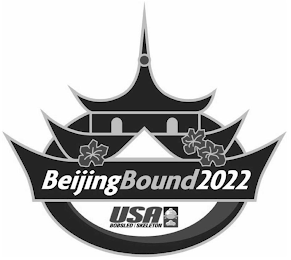 BEIJING BOUND 2022 USA BOBSLED SKELETON logo