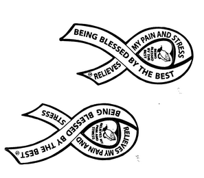 BEING BLESSED BY THE BEST RELIEVES MY PAIN AND STRESS BEING BLESSED BY THE BEST logo
