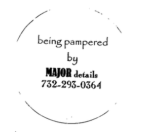 BEING PAMPERED BY MAJOR DETAILS 732-293-0364 logo