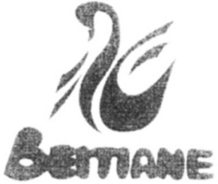 BEITIANE logo