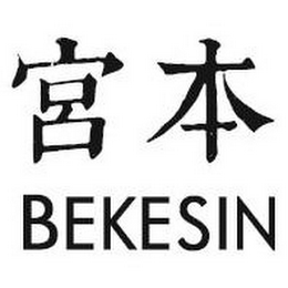 BEKESIN logo