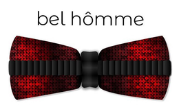 BEL HÔMME logo