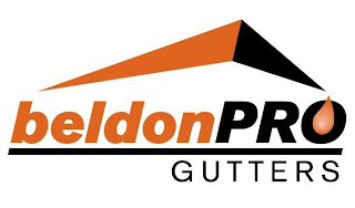 BELDONPRO GUTTERS logo