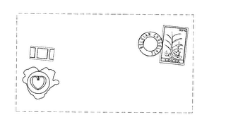 BELGIAN CHOCOLATE GINGER 65% logo