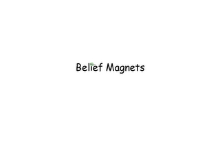 BELIEF MAGNETS logo