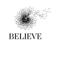 BELIEVE logo