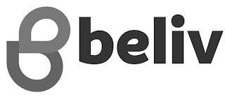 BELIV