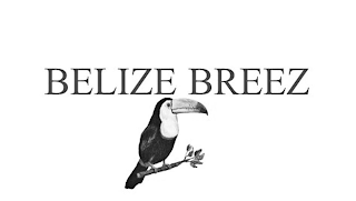BELIZE BREEZ logo