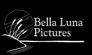 BELLA LUNA PICTURES logo