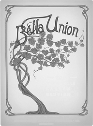 BELLA UNION logo