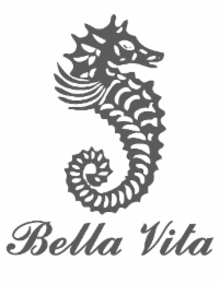 BELLA VITA logo