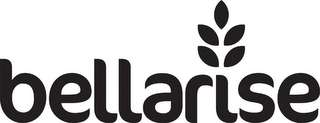BELLARISE logo