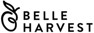 BELLE HARVEST logo