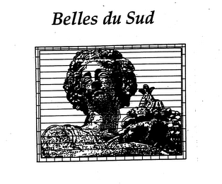 BELLES DU SUD logo