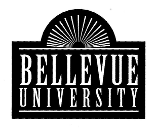 BELLEVUE UNIVERSITY