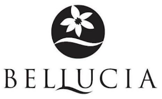 BELLUCIA logo