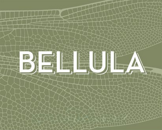 BELLULA logo