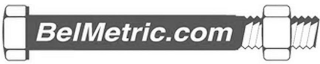 BELMETRIC.COM logo
