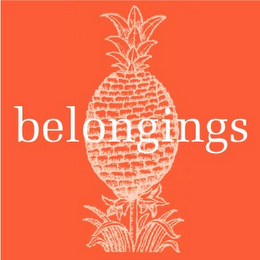 BELONGINGS logo