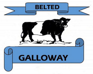 BELTED GALLOWAY logo