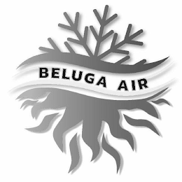 BELUGA AIR logo