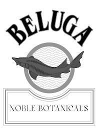 BELUGA NOBLE BOTANICALS logo