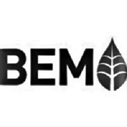 BEM logo