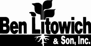 BEN LITOWICH & SON, INC. logo