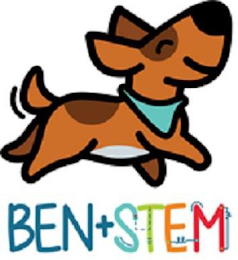 BEN + STEM logo