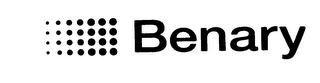 BENARY logo