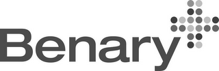 BENARY logo