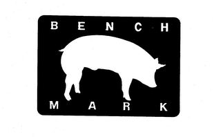 BENCH MARK logo