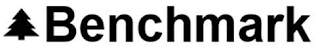 BENCHMARK logo