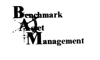 BENCHMARK ASSET MANAGEMENT logo