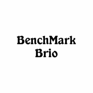 BENCHMARK BRIO logo