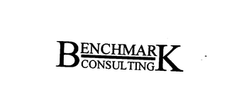 BENCHMARK CONSULTING logo