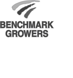 BENCHMARK GROWERS logo