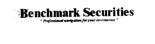 BENCHMARK SECURITIES PROFESSIONAL NAVIGATION FOR YOUR INVESTMENTS logo