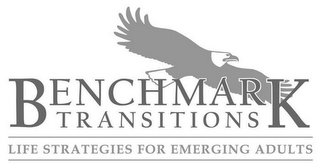 BENCHMARK TRANSITIONS LIFE STRATEGIES FOR EMERGING ADULTS logo