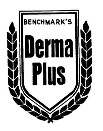 BENCHMARK'S DERMA PLUS logo