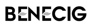 BENECIG logo