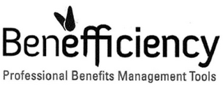 BENEFFICIENCY PROFESSIONAL BENEFITS MANAGEMENT TOOLS logo