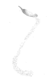 BENEFIBER SPOON AND CRYSTALS DESIGN logo