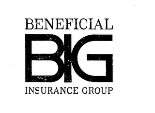 BENEFICIAL BIG INSURANCE GROUP logo