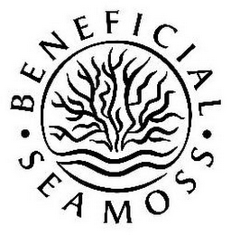 BENEFICIAL SEA MOSS logo